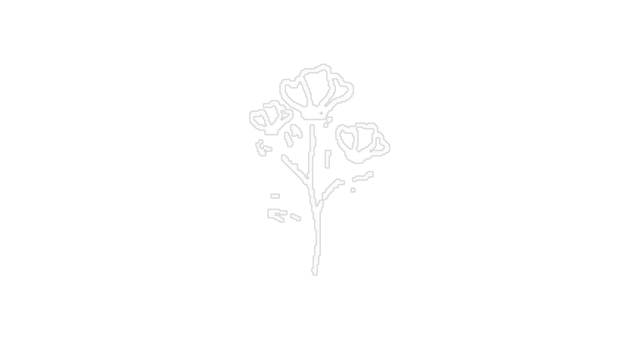 Flower 01@2x