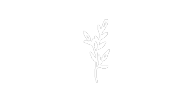 Flower 03@2x