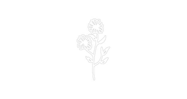 Flower 05@2x