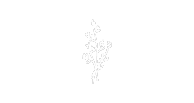 Flower 06@2x